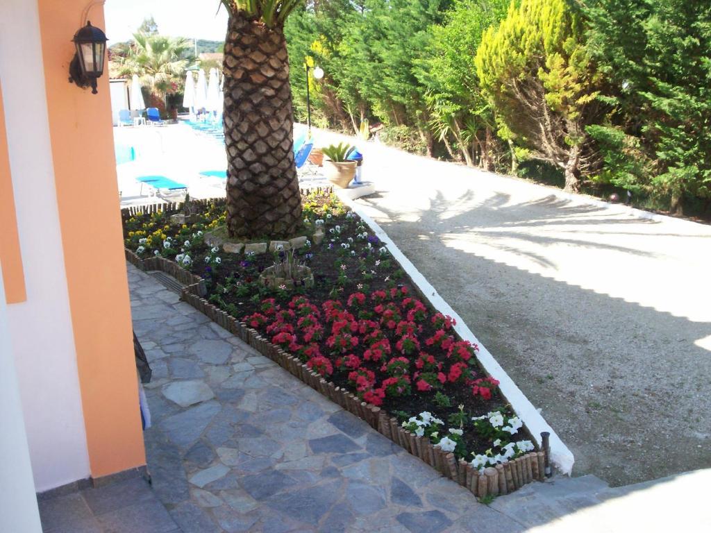Artemis & Apartment Sidari (Corfu)