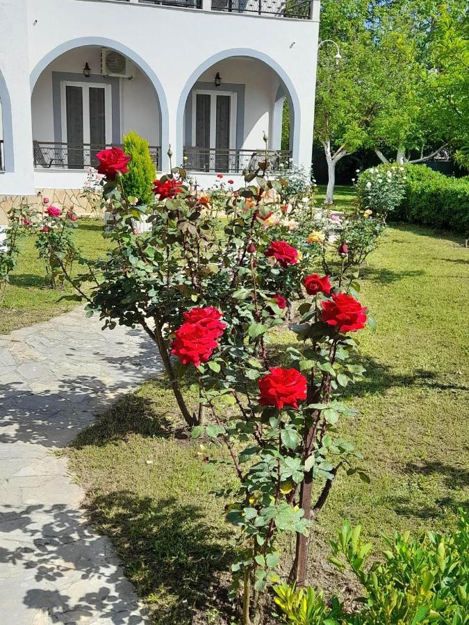 Artemis & Sidari Appartement Sidárion